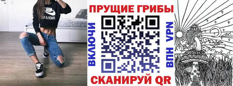 Псилоцибиновые грибы мухоморы  закладки  Уфа 